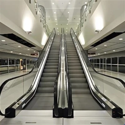 Escalator Belt Cludwyr